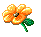 :orangeflower: